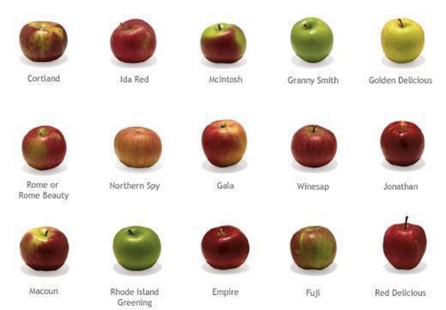 Apples