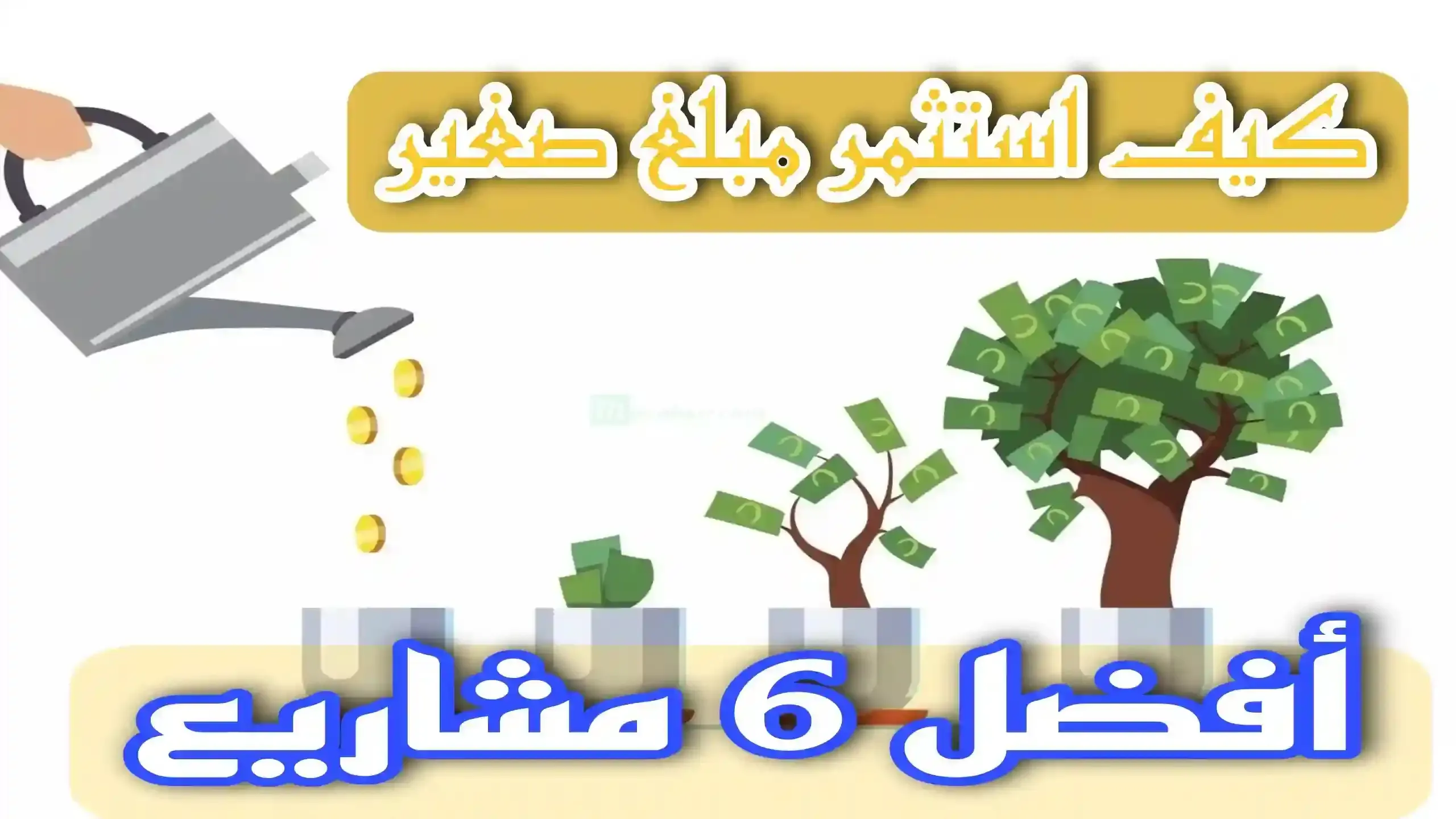 كيف استثمر مبلغ صغير : أفضل 6 مشاريع