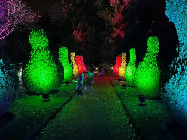 Walking through an avenue of skittle shaped bushes lit with different coloured floodlights