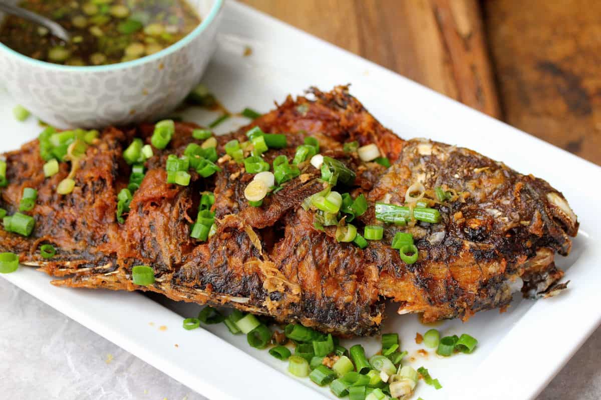 Whole fried tilapia with scallions on a white platter.