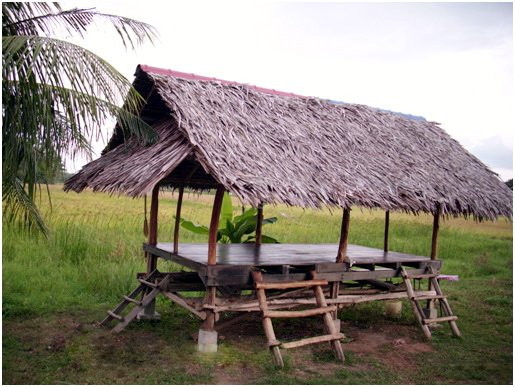 Gambar atap rumbi, bambu dan galam