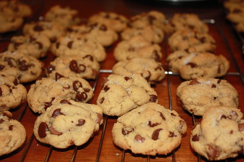 the perfect cookie grey sweatpants no makeup so perfect. the perfect cookie