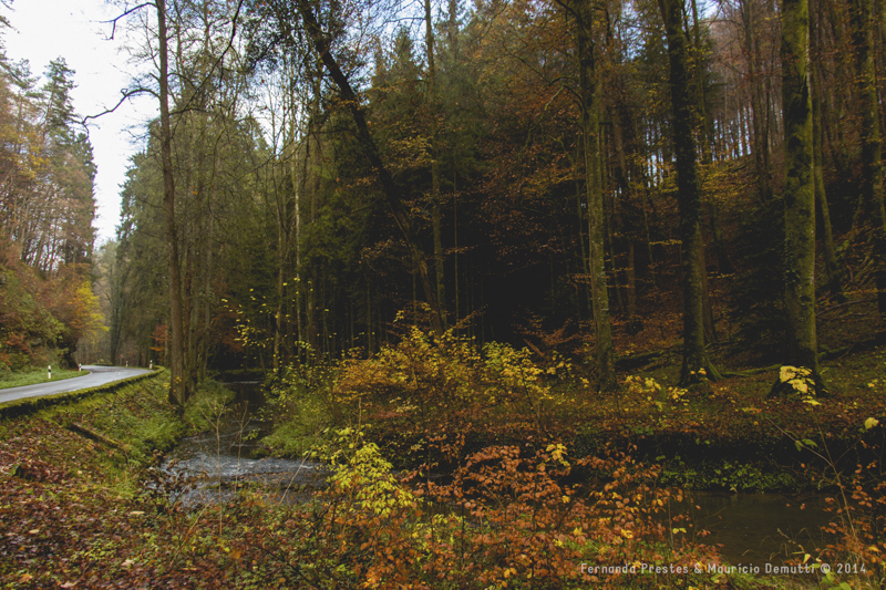 Mullerthal Trail em Luxemburgo no outono