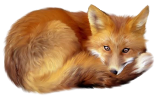 fox png