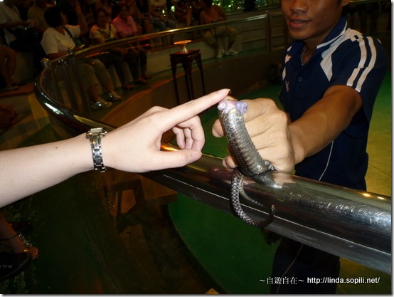 2009泰國曼谷-蛇鞭