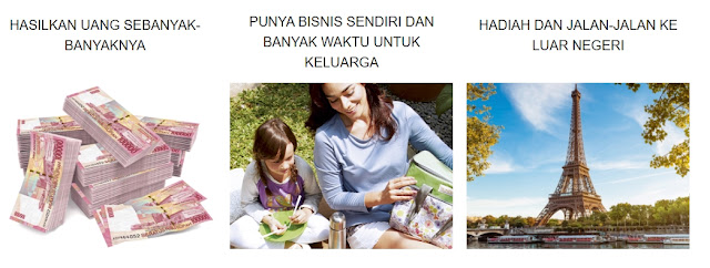 Peluang bisnis online