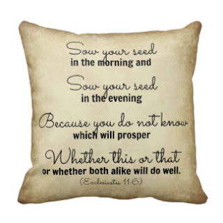 Sow your seed in the morning and sow your seed in the evening because you do not know which will prosper whether this or that or whether both alike will do well (Ecclesiastes 11:6) throw pillow