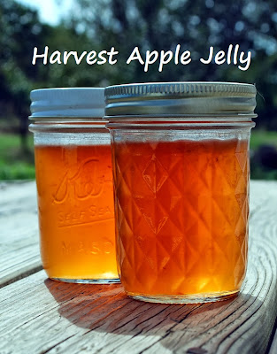 How to make Harvest Apple Jelly.