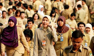 jenis seleksi cpns 2013