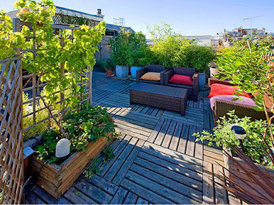 Desain Rooftop Garden