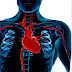 Ginko Biloba  (Living Fossils)/Solution for Bp and Heart diseases