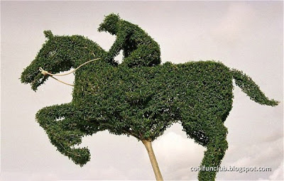 duniaandromedaku.blogspot.com - Topiary Art, Karya Seni Taman dan Tanaman yang Unik dan Menakjubkan