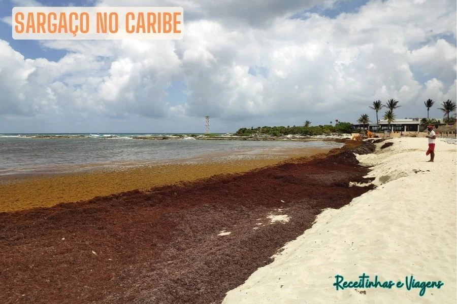Sargaco no Caribe e Sargaco em Cancun, isso afeta minha viagem?