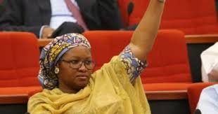 PDP Presidential Campaign Funds Fraud, Nenadi Usman Makes Part Refund