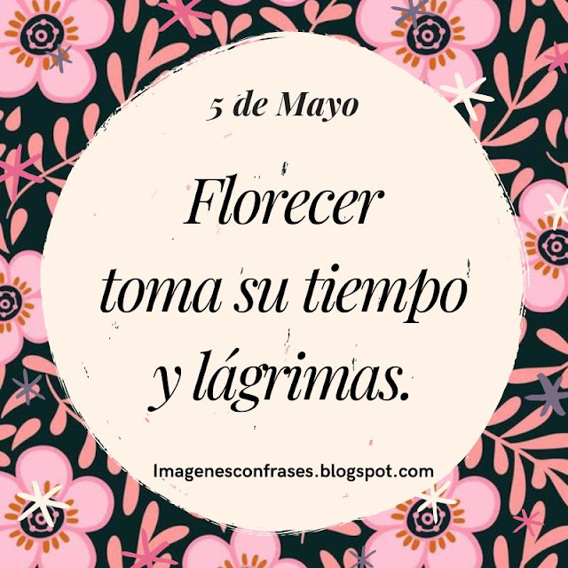 Nueva Frase Positiva para tu día 5 de Mayo