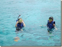 IMG_0652 IMG_0652