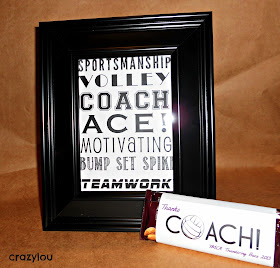 Volleyball Coach Gift Idea