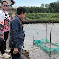 Pemprov Sulbar Tinjau Transmigrasi Tanjung China, Dorong Pengembangan Tambak Pesisir dan Pemberdayaan Ekonomi