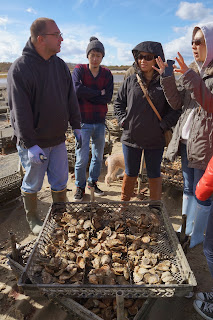  Big Rock oyster Company Tour   Aaron   Fletcher School