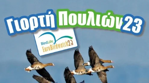 γιορτή πουλιών 2023