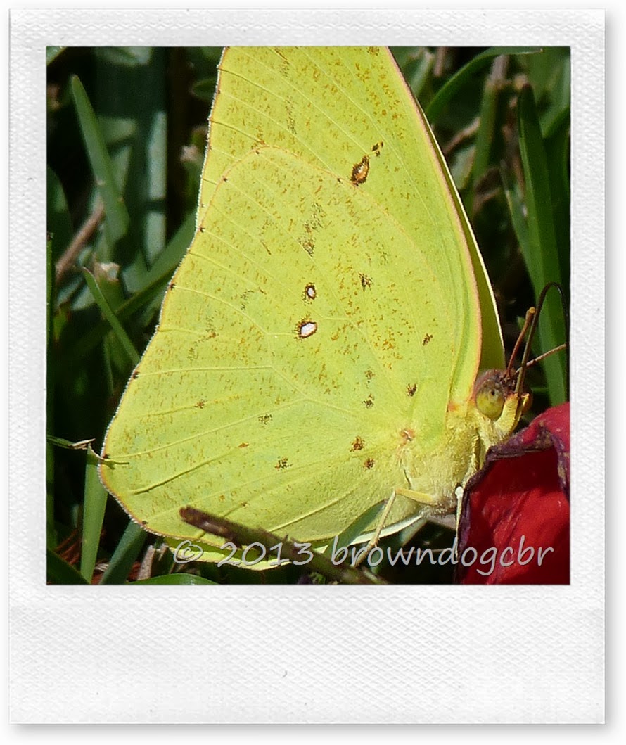 P1290248