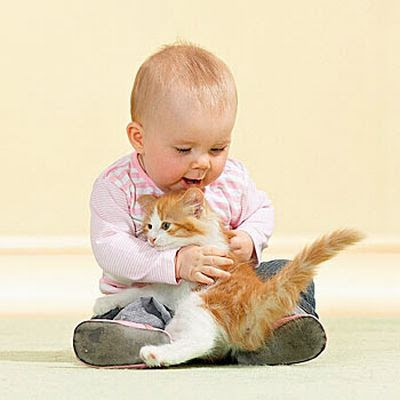 Little baby boy with cute pet kitten hugging picture