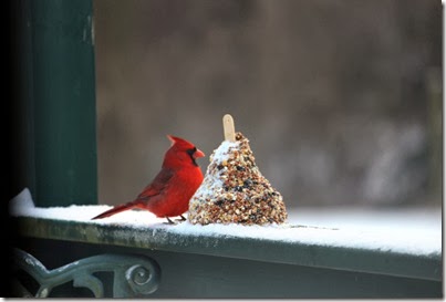 cardinalJan9copy