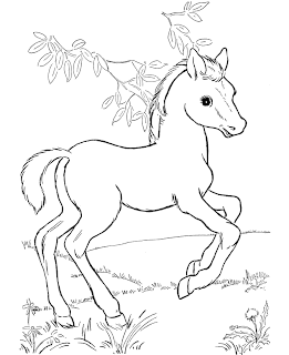 Horse Coloring Pages