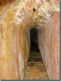 P1000121
