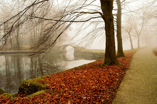 backgrounds high resolution 1280x1024 wallpaper hd fogy bridge