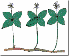 clip_image002