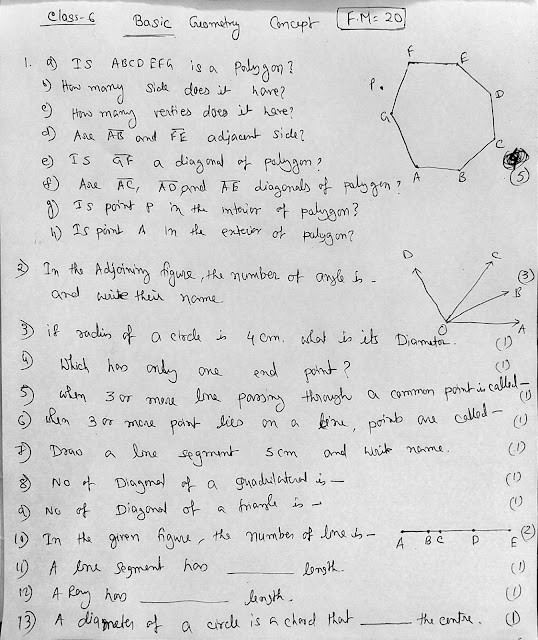 Class 6 Basic Geometry Concept Test FM 20