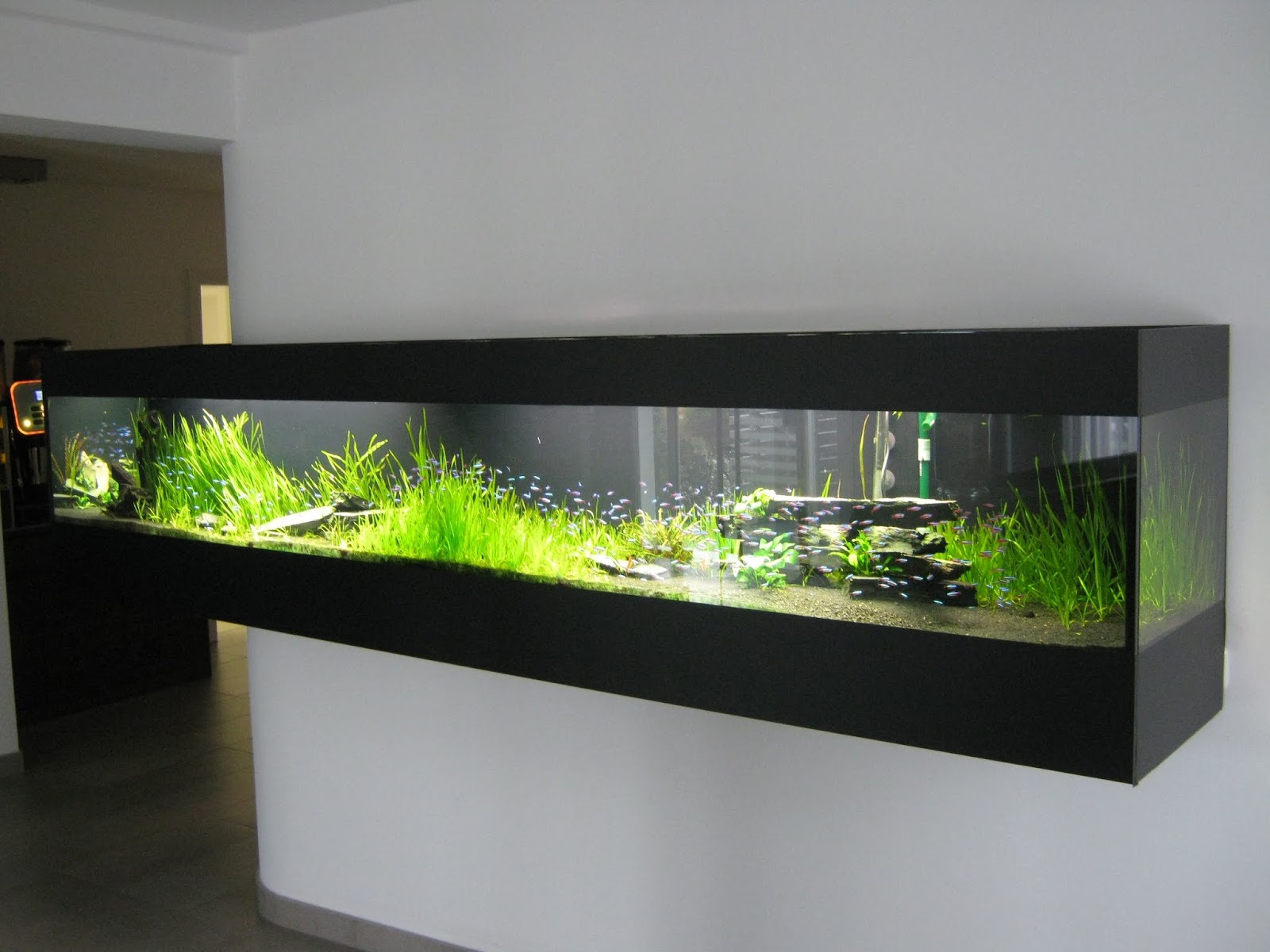 46 Desain Aquarium  Cantik dan Unik  Anti mainstream 