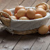 Emelnék a tojás árát szeptembertől a termelők