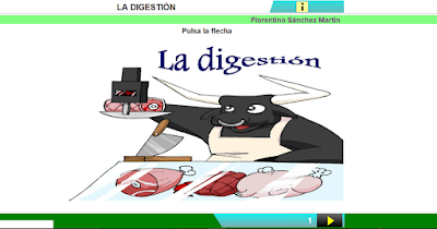 http://www.ceiploreto.es/sugerencias/cplosangeles.juntaextremadura.net/web/curso_4/naturales_4/la_digestion/la_digestion.html