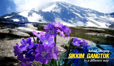 Sikkim Package Tour from Bagdogra