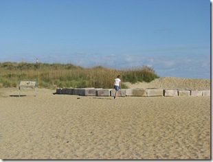 Dogs, Kids, OBX 110