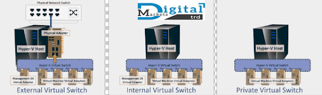 Virtual networking Switches