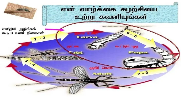 கொசு ஏன் மனிதனை கடிக்கிறது?