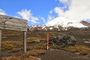 IMG_2845