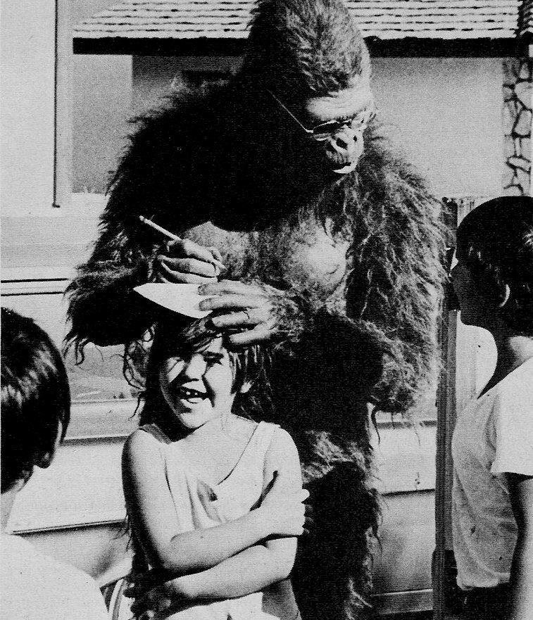 Gorilla Signs Autographs