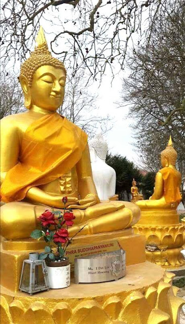 Đạo Phật Nguyên Thủy - Kinh Tăng Chi Bộ - Được ái mộ