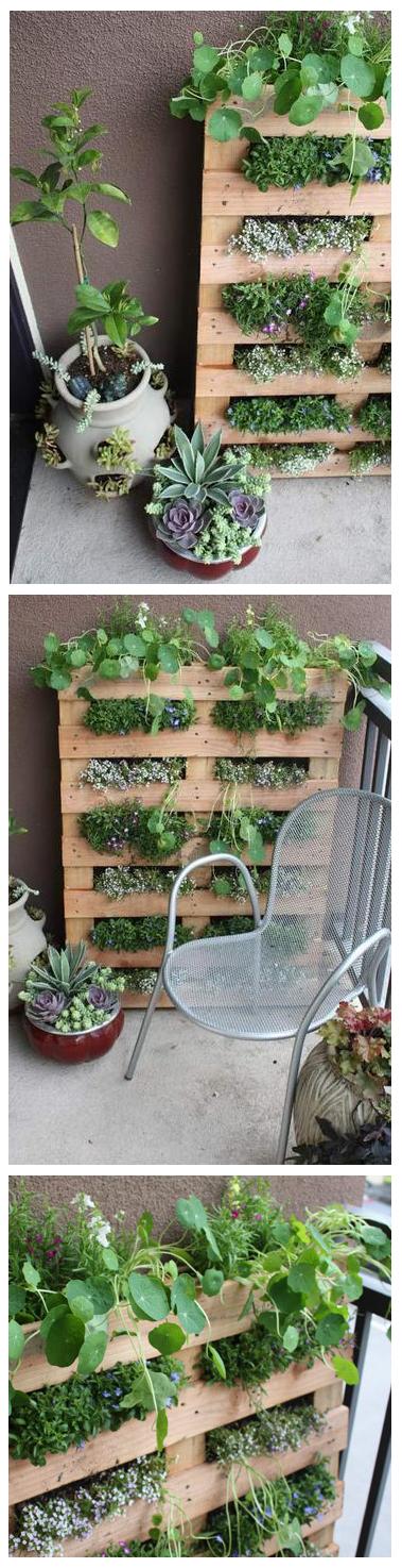 DIY : small space pallet garden