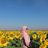 Ladang Bunga Matahari Di Indonesia / 5 Kebun Bunga Matahari Paling Indah di Indonesia, Cantik ... : Nah, kalau kamu ingin melihat bunga matahari ketika lagi mekar dan segar, kamu.