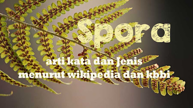 Spora Tumbuhan Pakis