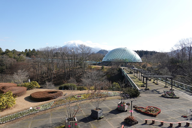 鳥取県西伯郡南部町鶴田 とっとり花回廊 フラワードーム