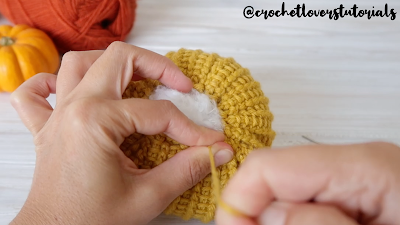 pumpkin crochet 