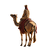  Camel Image Photoshop