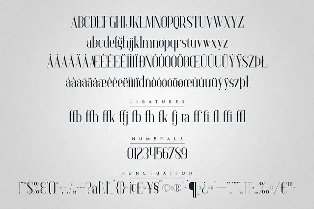 Baleine Serif Typeface