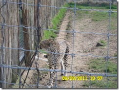 SAM_0188